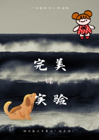 完美实名认证教程